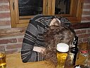 Get 2004/01/30/292.jpg - bisher 1240 mal angeklickt.