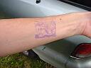 Get 7992.jpg - bisher 18 mal angeklickt.